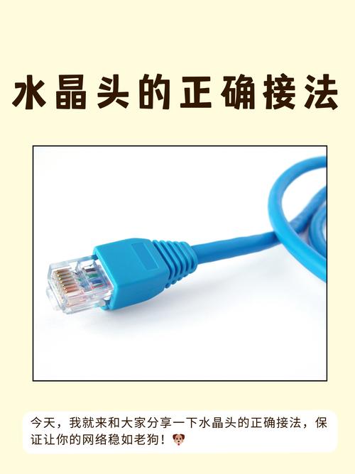 水晶头 网络连接中的小能手